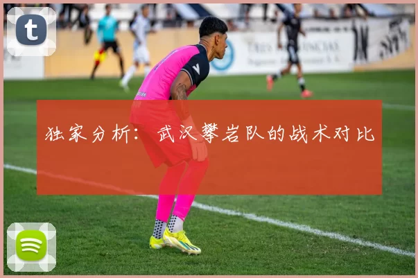 独家分析：武汉攀岩队的战术对比