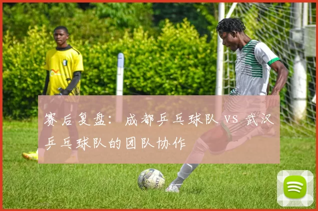 赛后复盘：成都乒乓球队 vs 武汉乒乓球队的团队协作