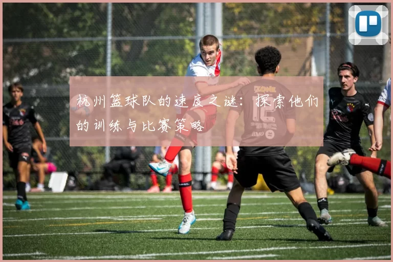 杭州篮球队的速度之谜：探索他们的训练与比赛策略