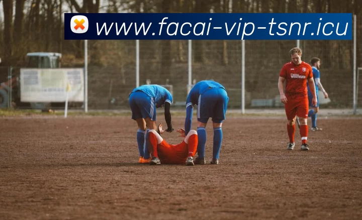 乐鱼体育服务体系